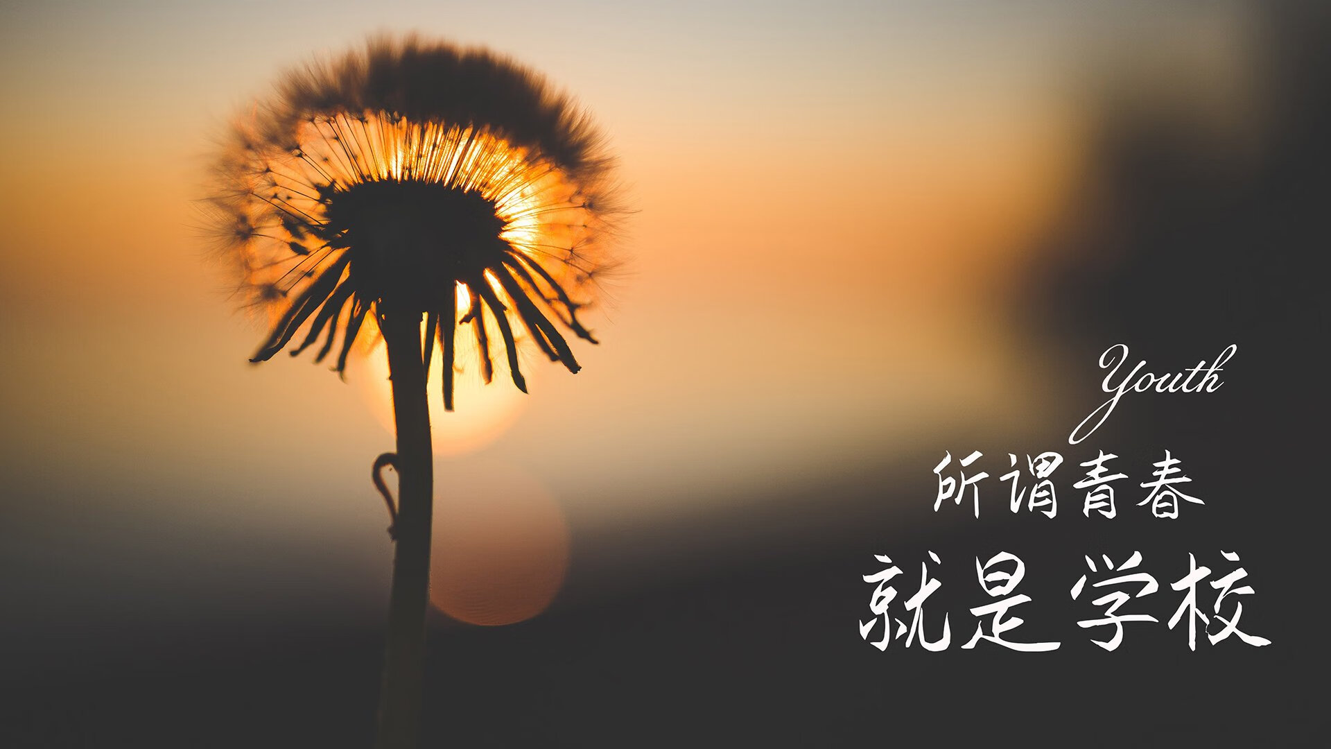 便宜又好吃的海鲜有哪些呢(便宜一点的海鲜品种)