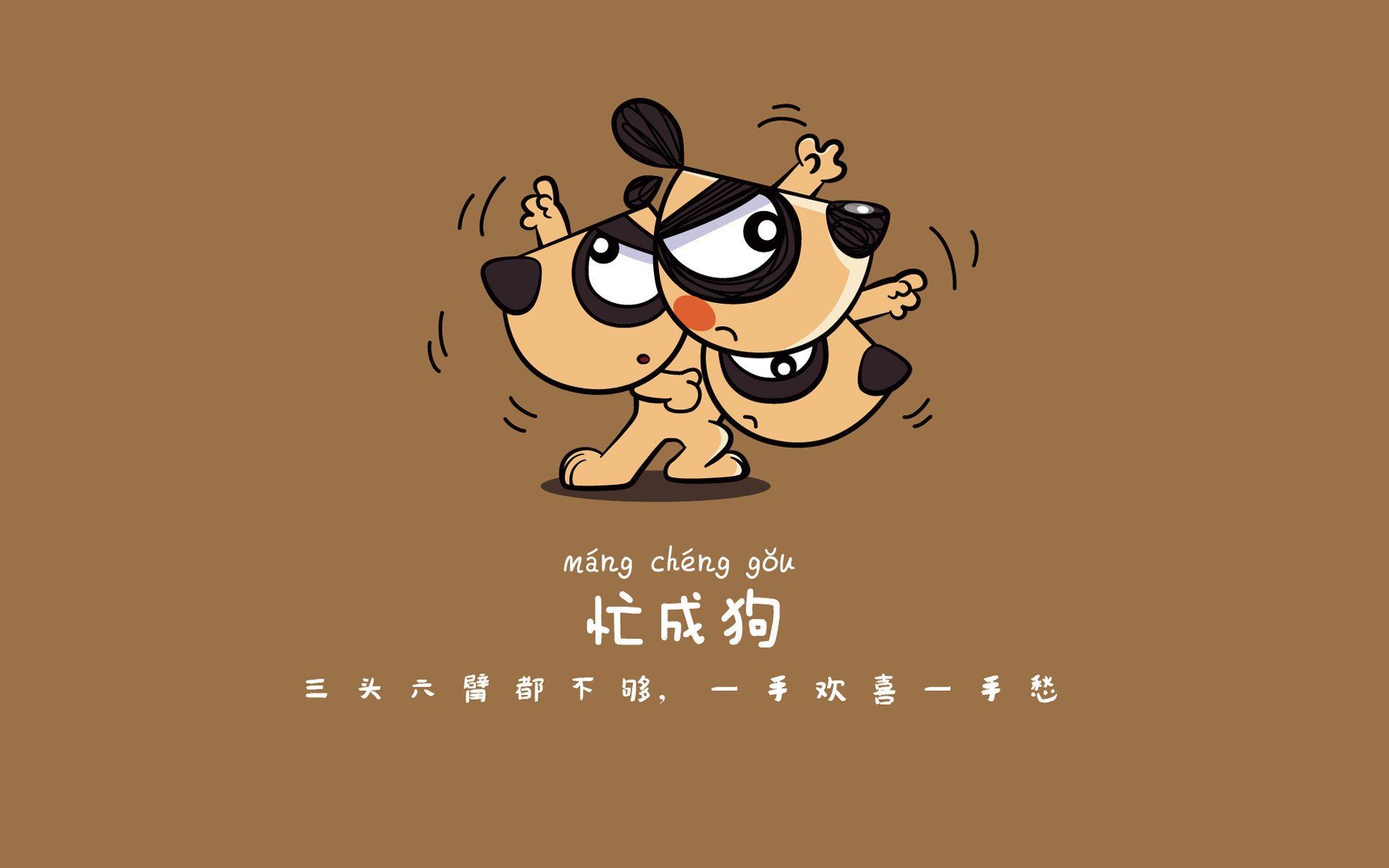 海产品什么补血效果好呢（海产品补血吗）