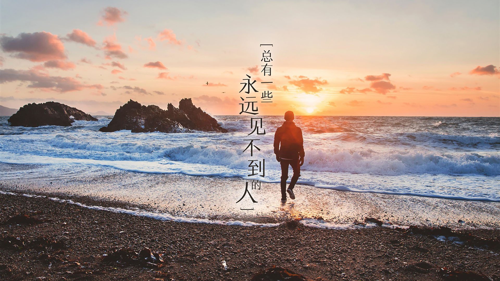 海鲜砂锅煲做法大全集窍门(海鲜砂锅怎么做好吃)